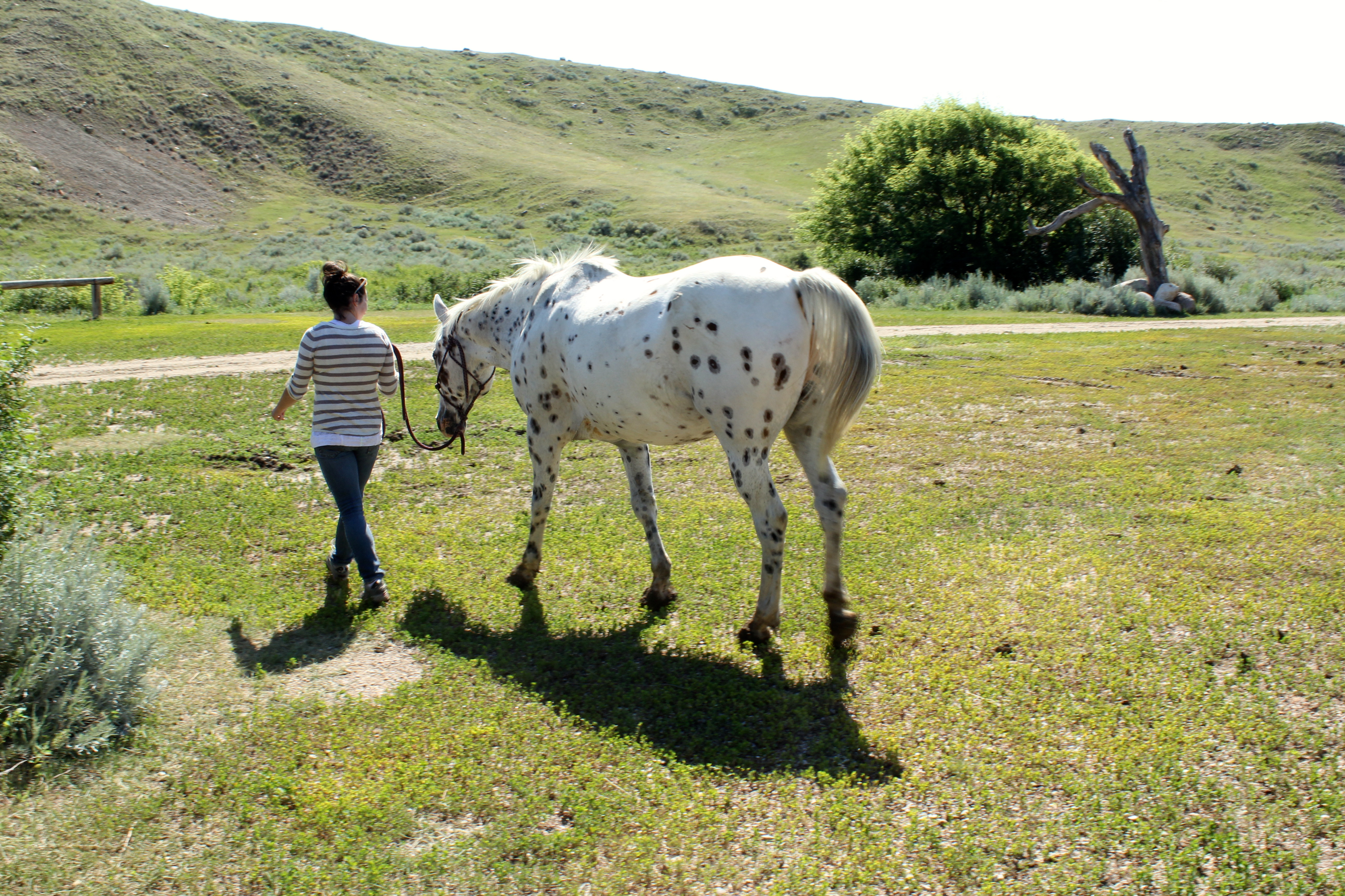 Me and Gus the Appaloosa