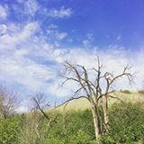 A study in prairie cycles and contrast 🌾🌾