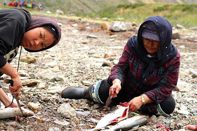 jenn smith nelson, torngat mountains national park