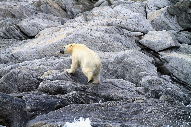 jenn smith nelson, torngat mountains national park