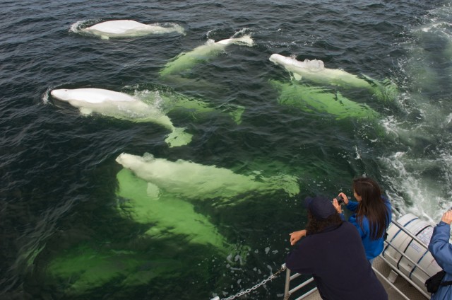 Image courtesy of the Canadian Tourism Commission